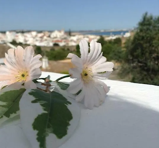 Lägenhet Casaduarte 