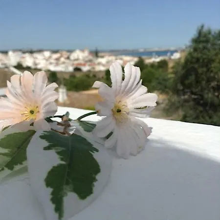 Apartment Casaduarte 